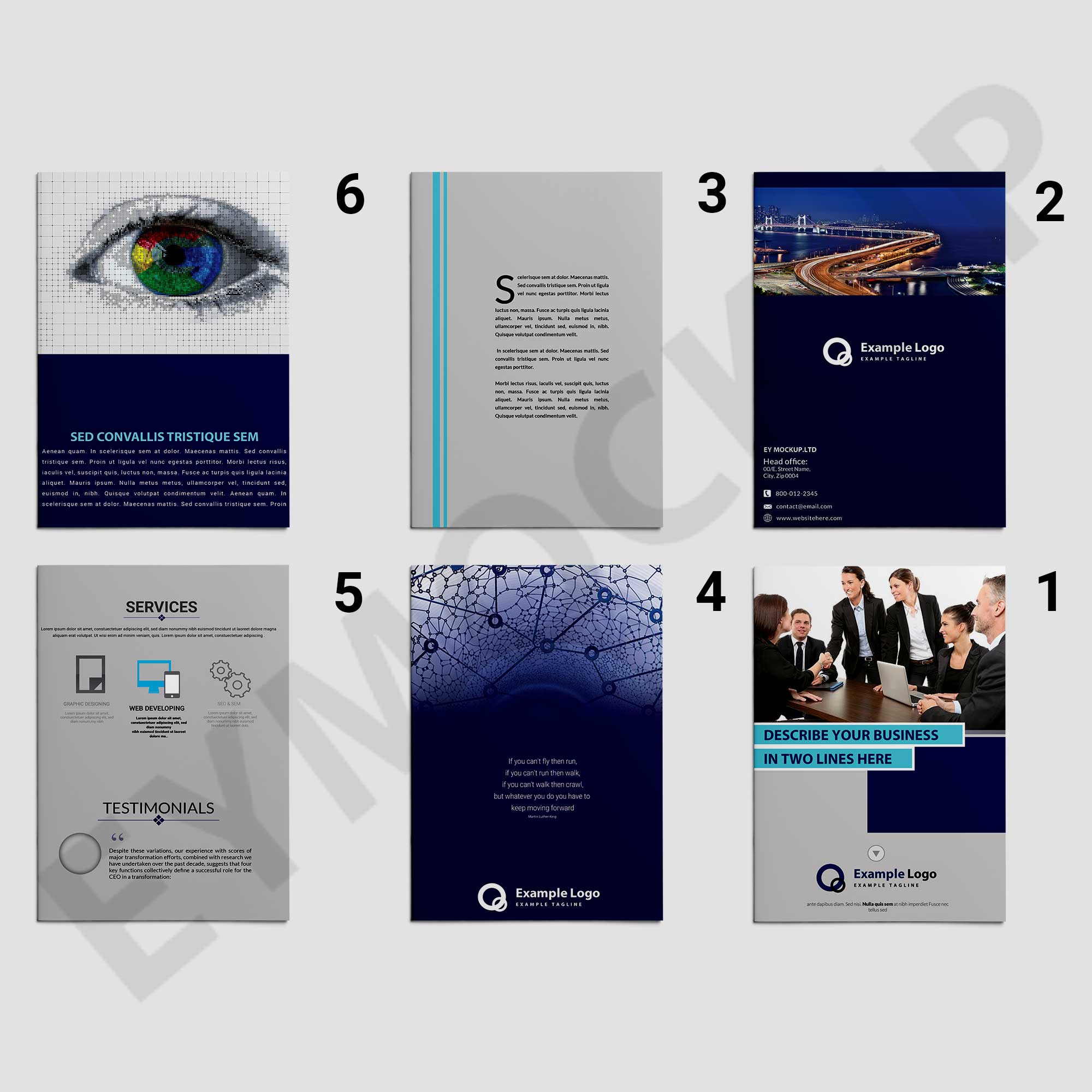 Business Proposal Brochure