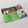 Attractive Photography Brochure