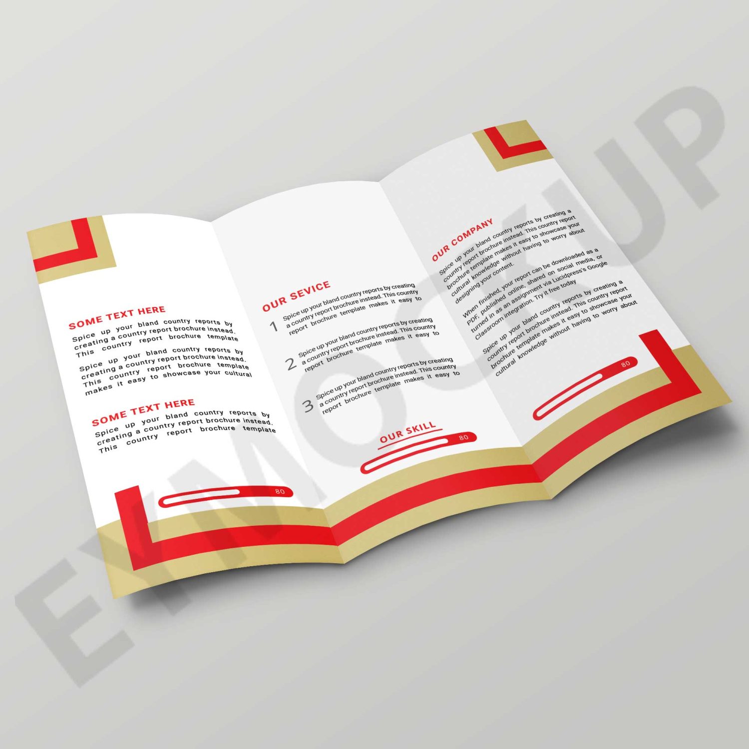 Tri-Fold Brochure