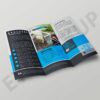 Money Tri-fold Brochure