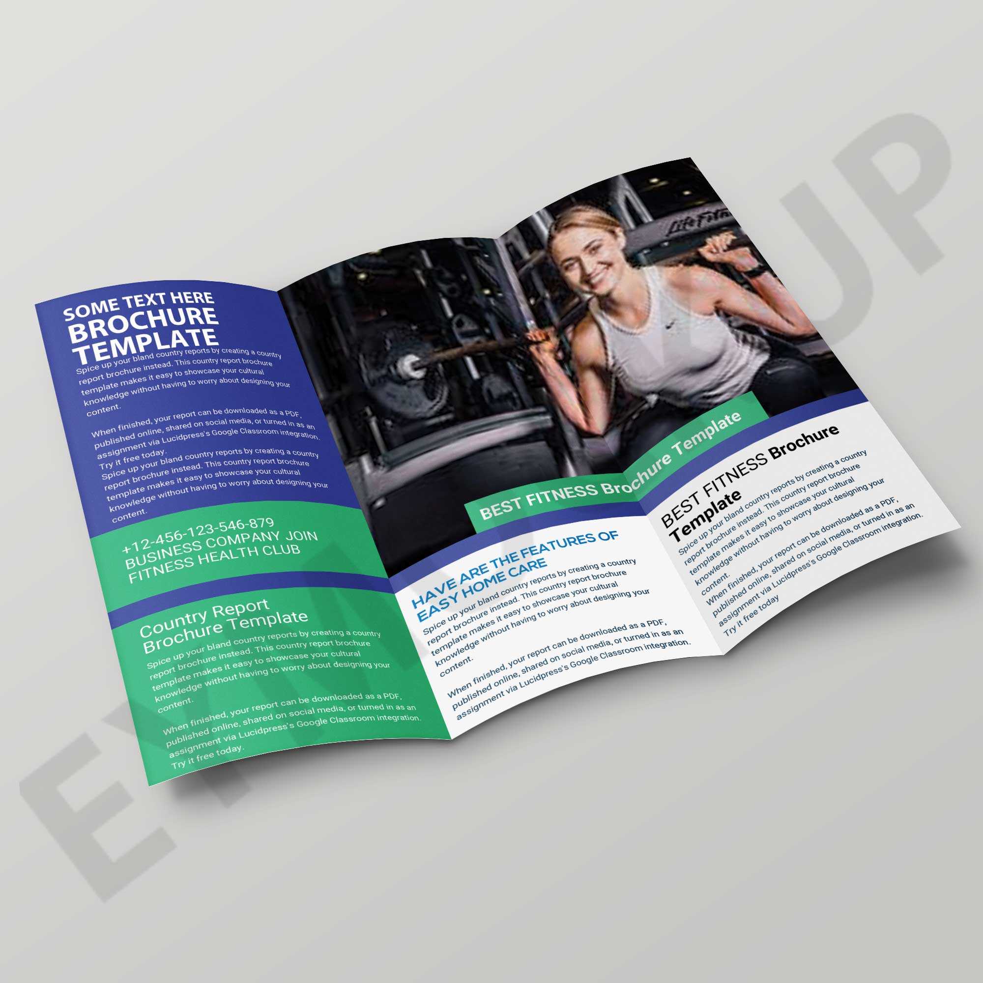 Multi Purpose Tri-Fold Brochure
