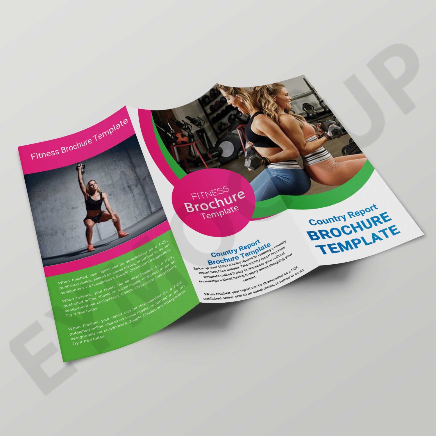 Multi Purpose Tri-Fold Brochure Template