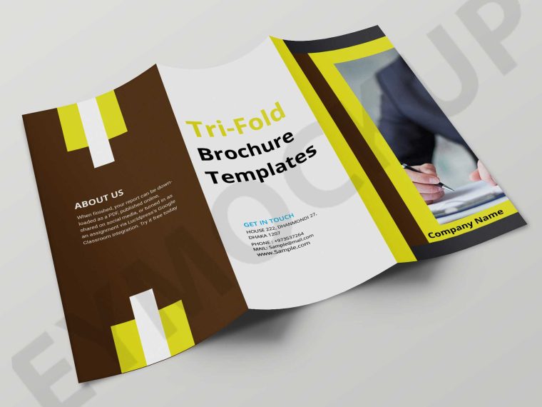 Creative Tri-Fold Brochure