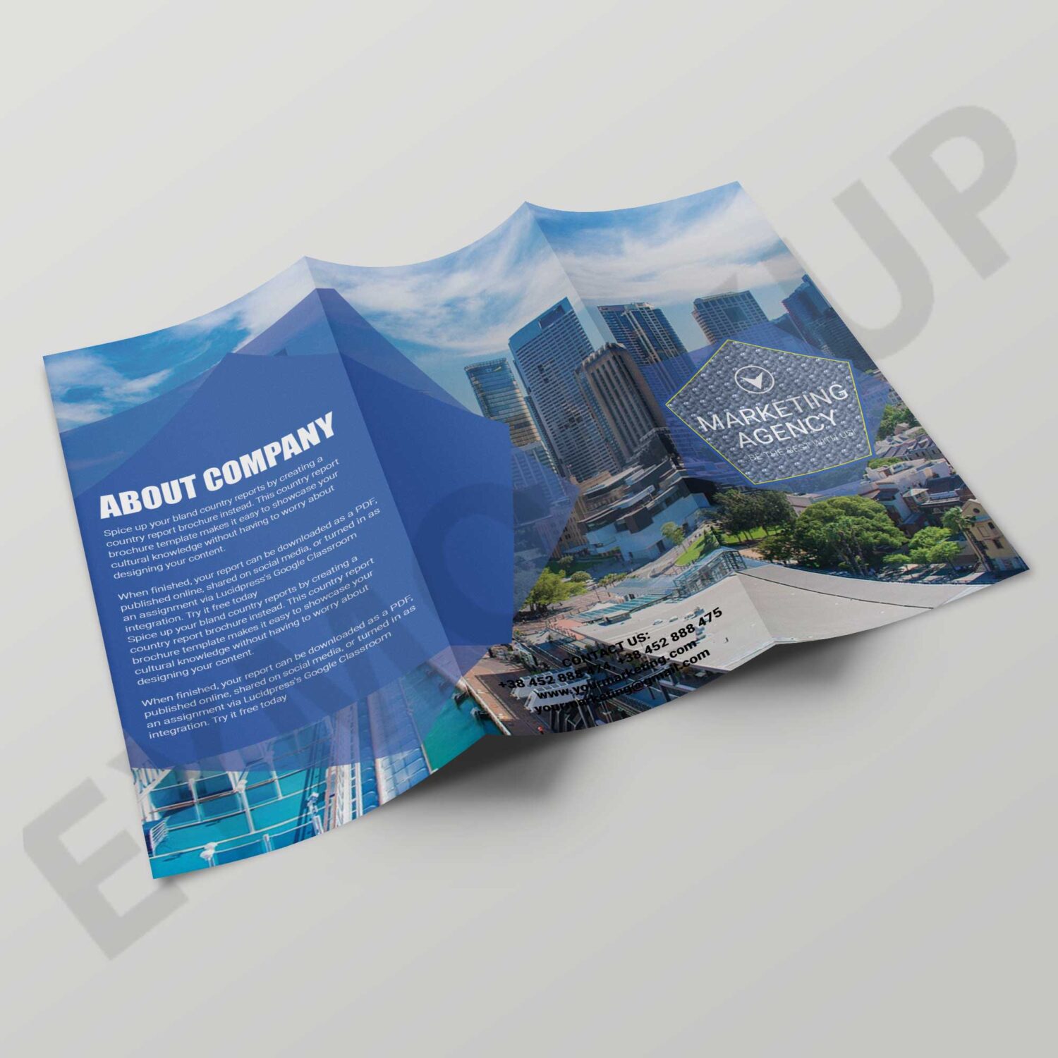 Real Estate Tri-fold Brochure