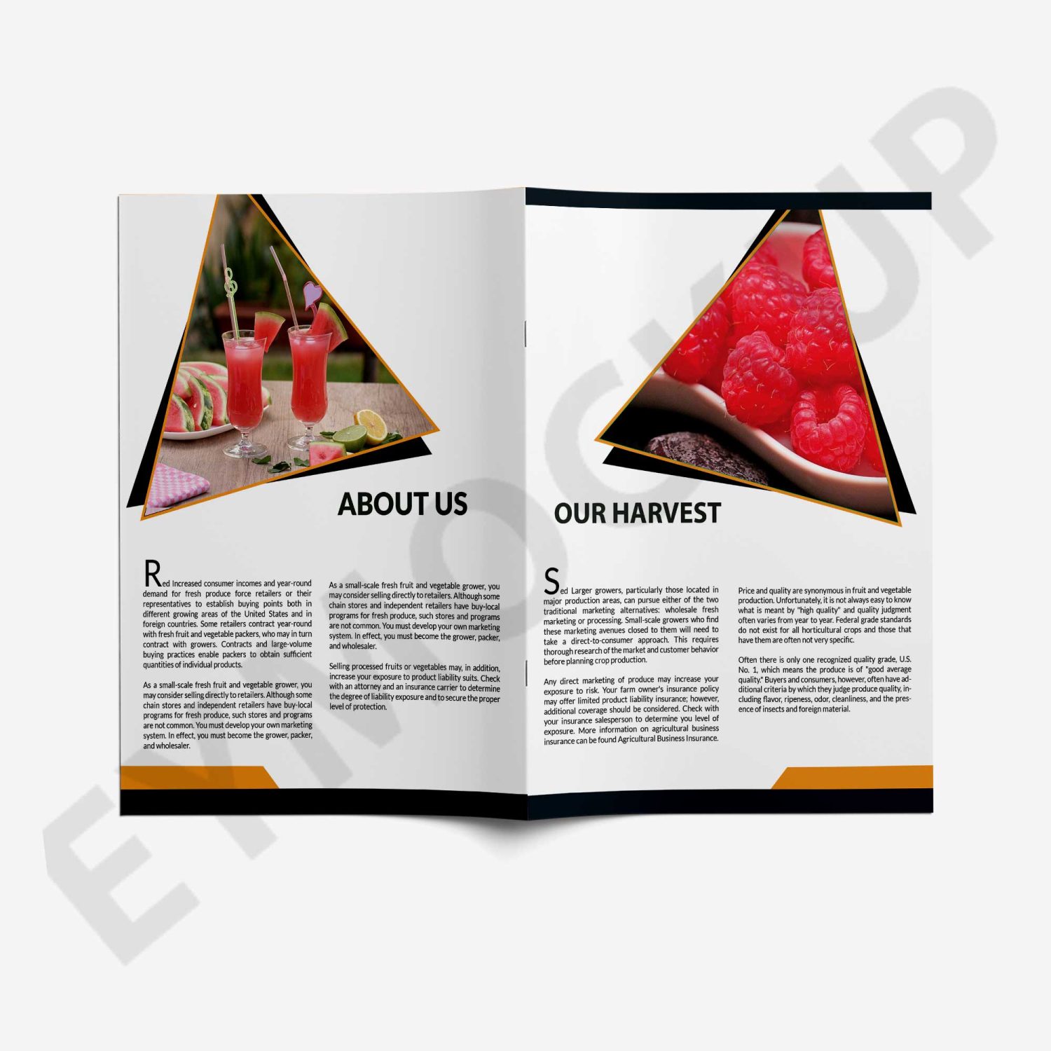 Store Catalog Brochure 2018