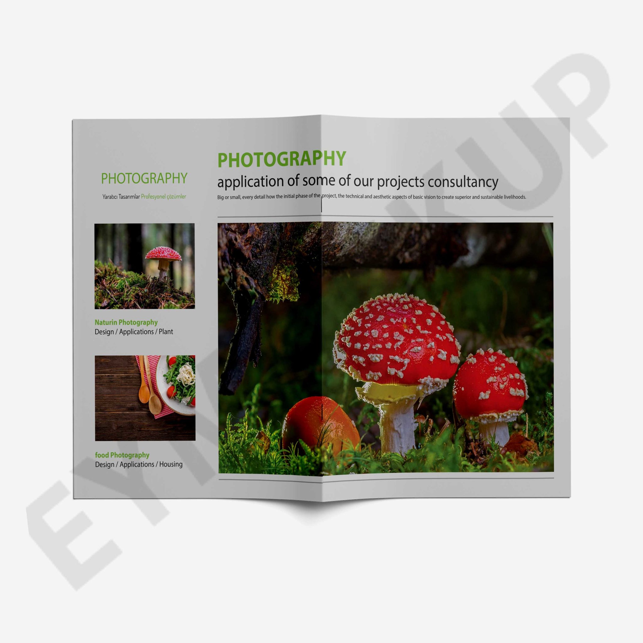 Zoo Photography Brochure