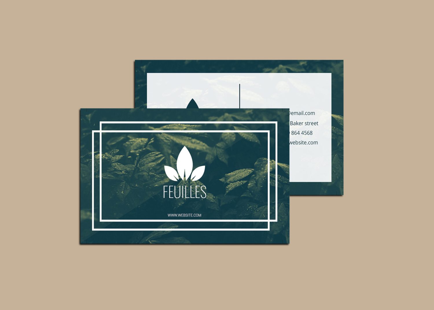 Business Card Presentation Mockup