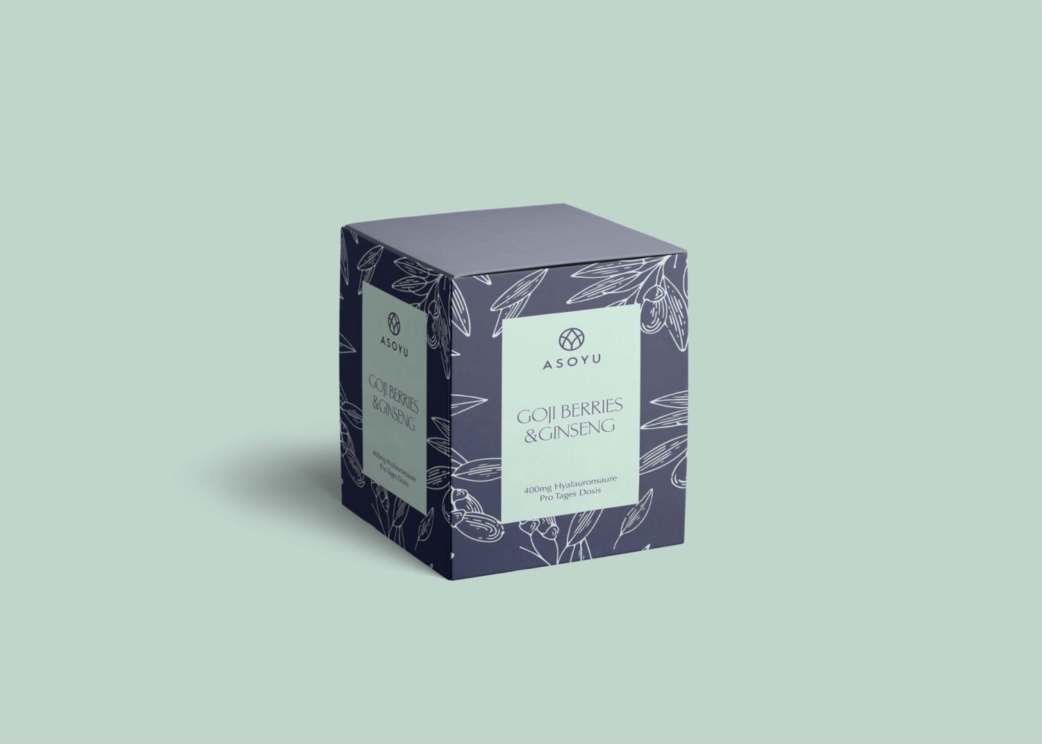 Darts Box Mockup