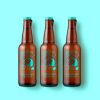 Brown Beer Bottle Scene Mockup