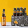 Fruit Beer Packaging Mockup